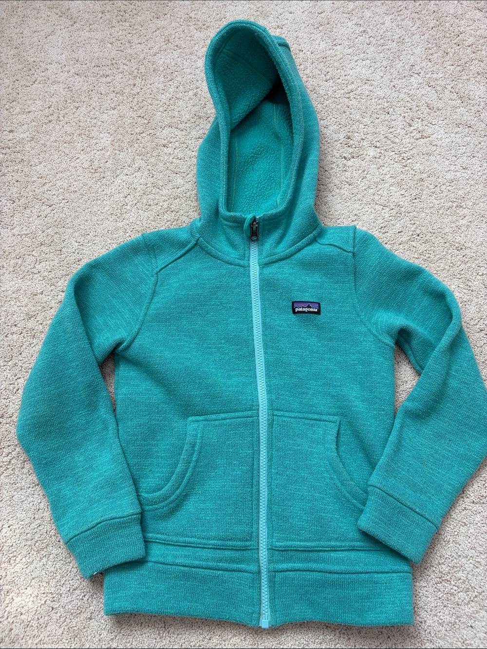 Patagonia Kids Teal Zip-Up Hooded Fleece